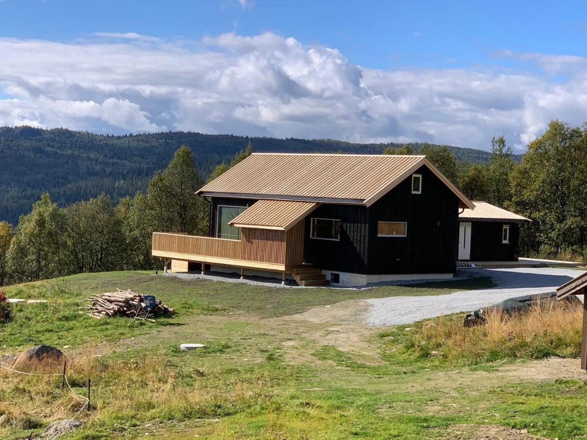 Na Er Vinteren Kommet Til Hallingdal Ål Buitenkant foto
