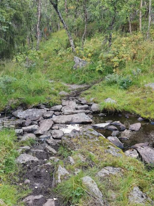 Na Er Vinteren Kommet Til Hallingdal Ål Buitenkant foto