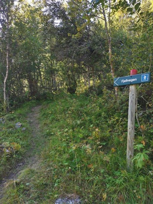 Na Er Vinteren Kommet Til Hallingdal Ål Buitenkant foto