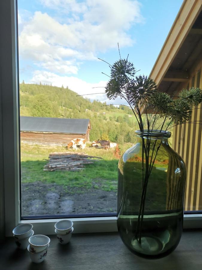 Na Er Vinteren Kommet Til Hallingdal Ål Buitenkant foto