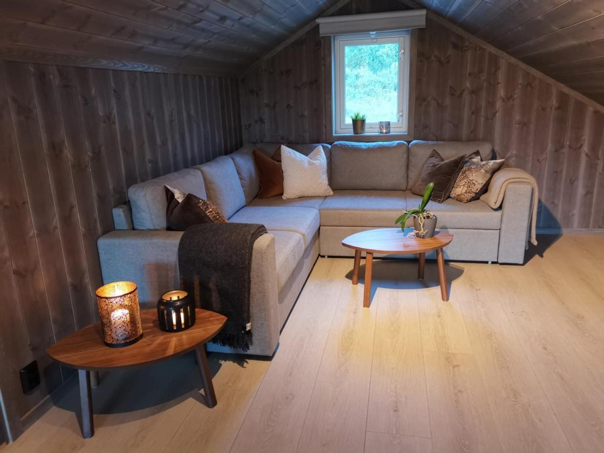 Na Er Vinteren Kommet Til Hallingdal Ål Buitenkant foto