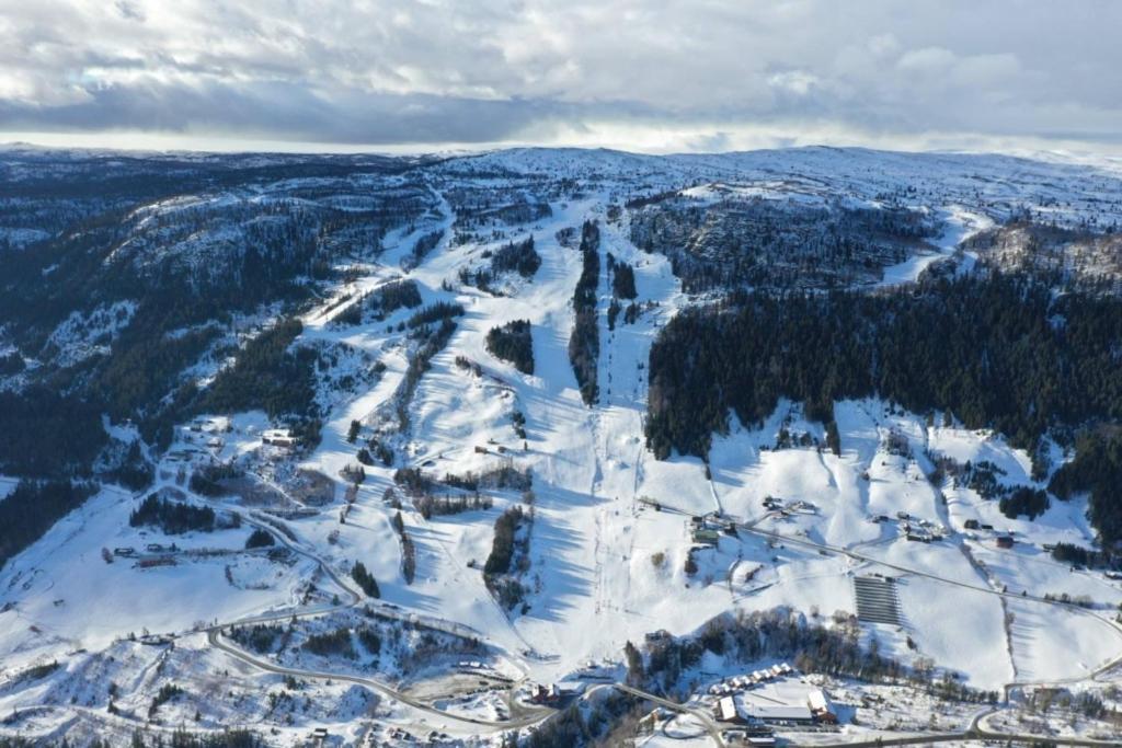 Na Er Vinteren Kommet Til Hallingdal Ål Buitenkant foto