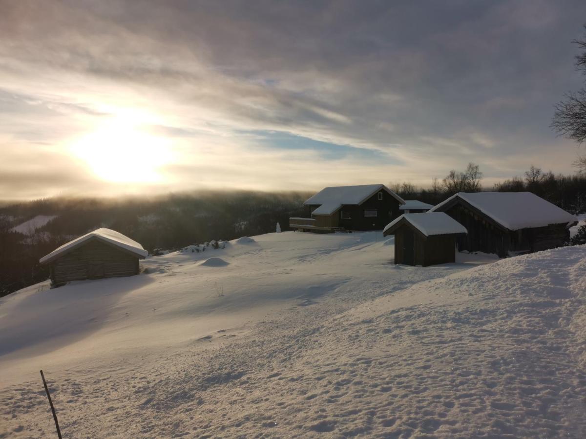 Na Er Vinteren Kommet Til Hallingdal Ål Buitenkant foto