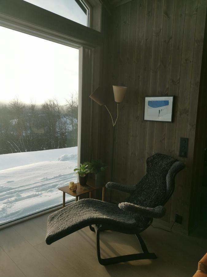 Na Er Vinteren Kommet Til Hallingdal Ål Buitenkant foto