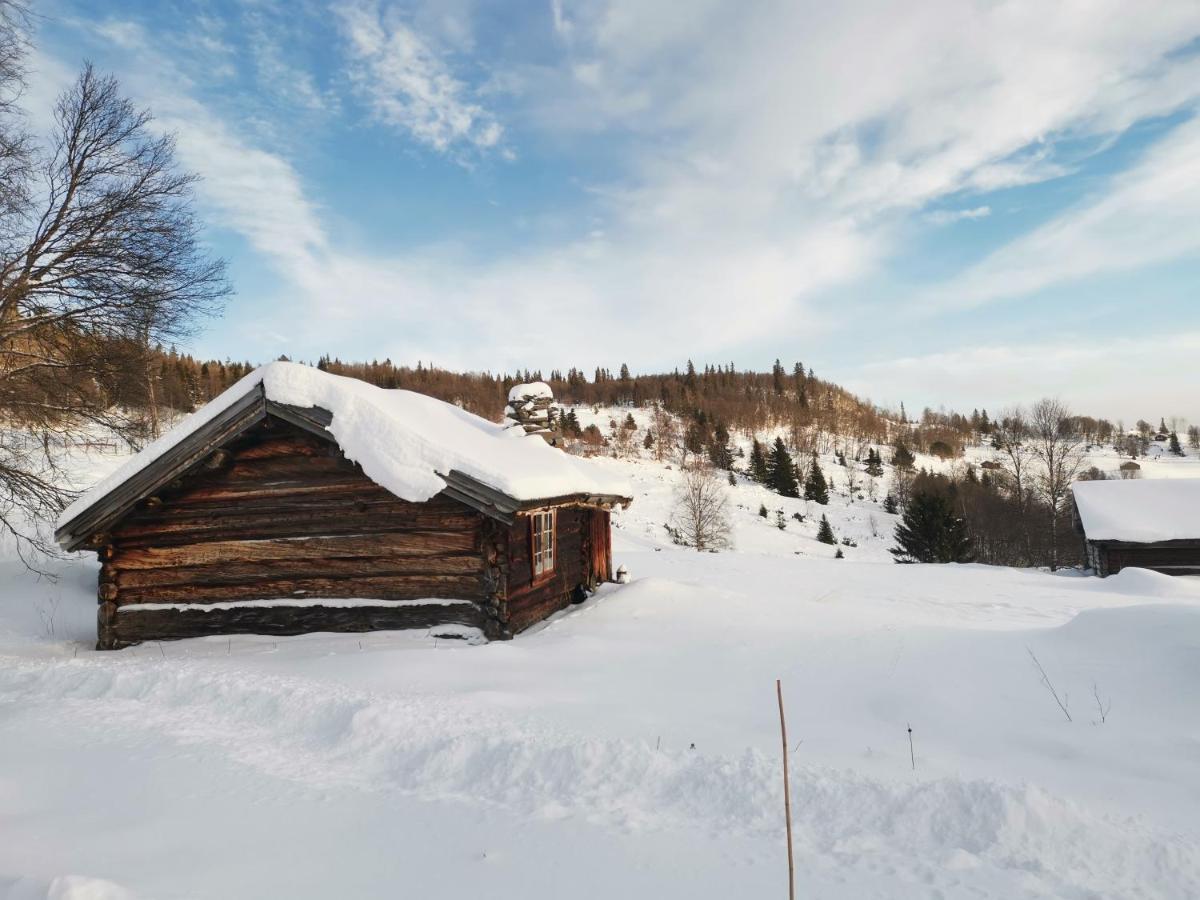Na Er Vinteren Kommet Til Hallingdal Ål Buitenkant foto