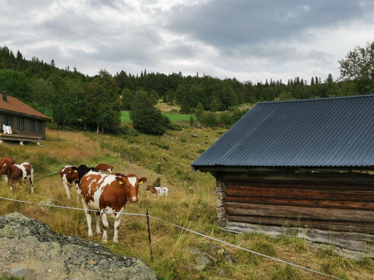 Na Er Vinteren Kommet Til Hallingdal Ål Buitenkant foto