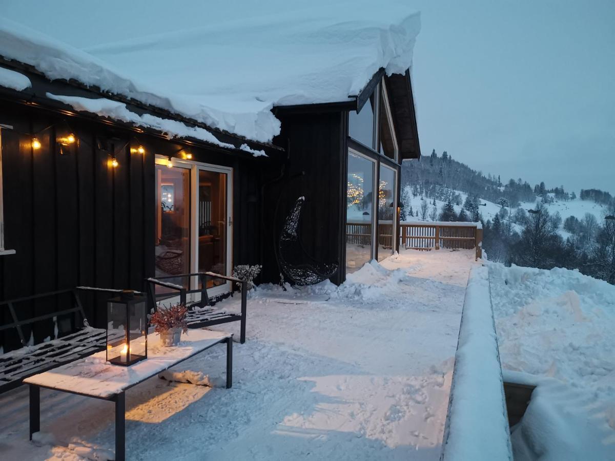Na Er Vinteren Kommet Til Hallingdal Ål Buitenkant foto